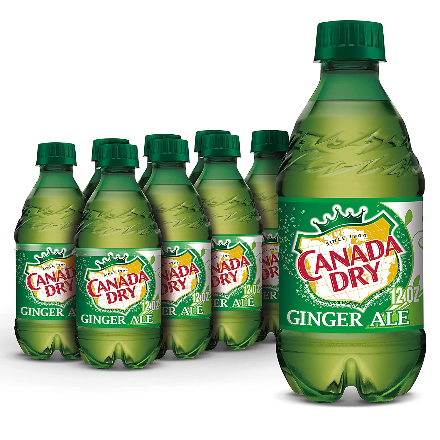 Ginger Ale Plastic Bottles, 12oz - drinkdrop.net